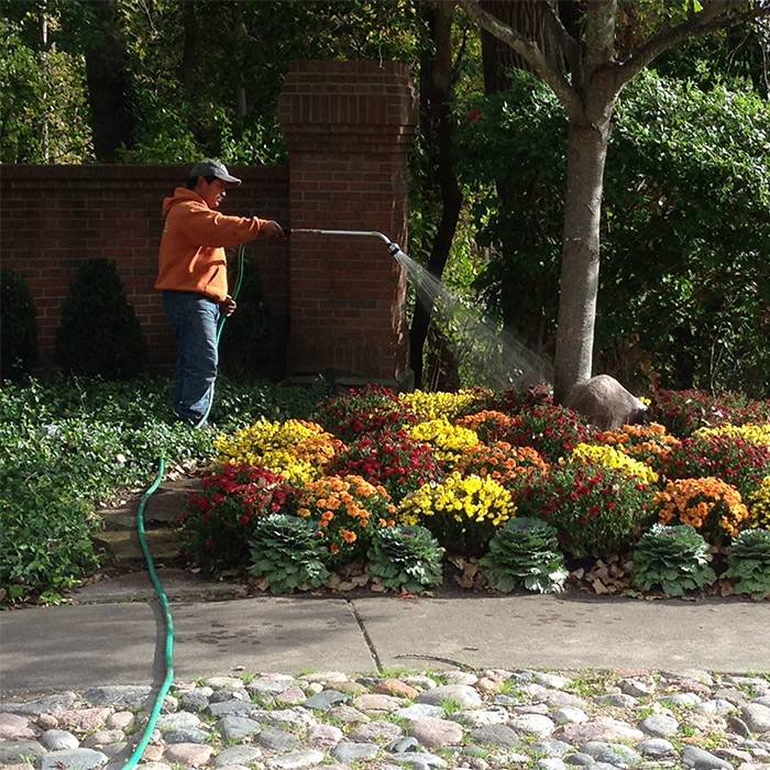 Chicago Landscaping Small Maintenance 5 1